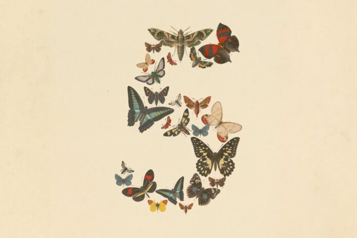 Anthropic Fable 5